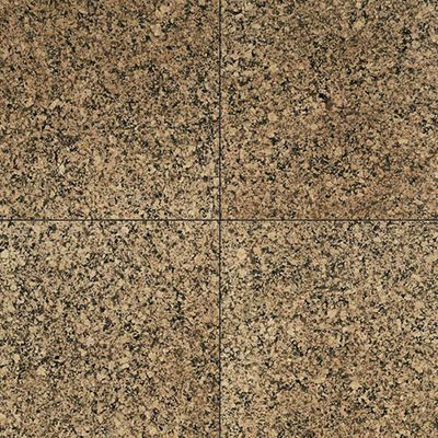 Daltile Daltile Granite 12 x 12 Polished Desert Brown Tile & Stone