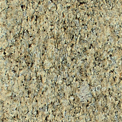 Daltile Daltile Granite 12 x 12 Polished Giallo Ornamental Tile & Stone