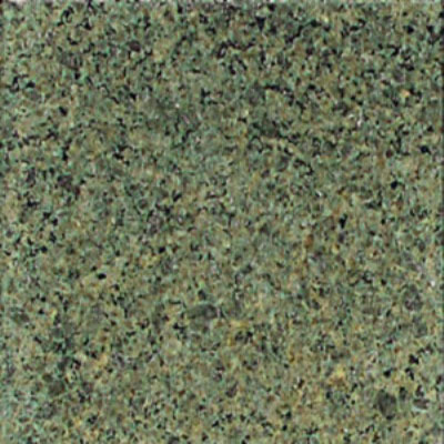Daltile Daltile Granite 12 x 12 Polished Spring Green Tile & Stone