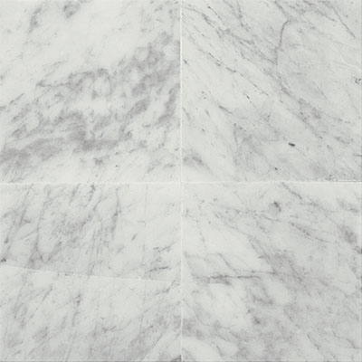 Daltile Daltile Marble 12 x 12 Polished Carrara White Polished Tile & Stone
