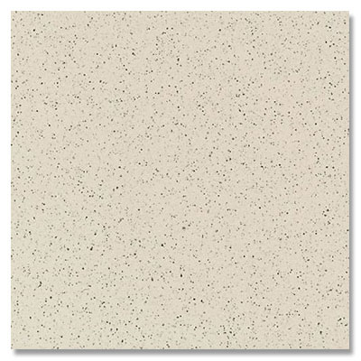 Daltile Daltile Porcealto 8 x 8 Unpolished (Graniti) Fuori di Bianco Tile & Stone