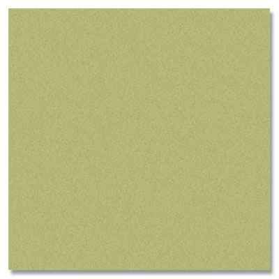 Daltile Daltile SlimLite Porcelain Classic 20 x 39 Mint Tile & Stone