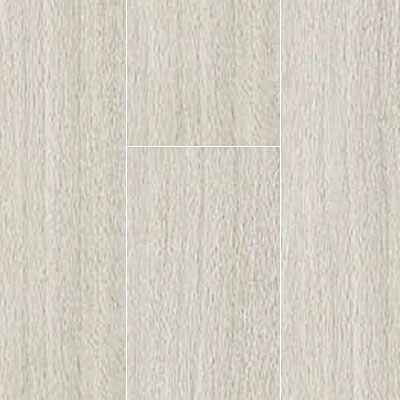 Eleganza Tiles Eleganza Tiles Bio-Plank 8 x 48 Oak Ice Tile & Stone