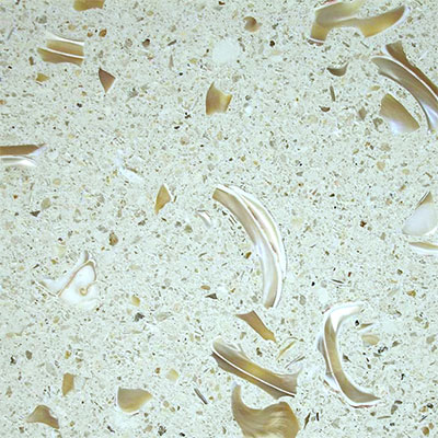 SeaStone SeaStone Custom Blend (Shell) 12 x 12 Base Product Blend - Pearl Mosaic Tile & Stone