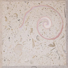 SeaStone SeaStone Custom Blend (FossilStone) 12 x 12 Scrolled Conch Tile & Stone