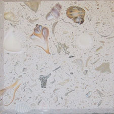 SeaStone SeaStone Custom Blend (FossilStone) 12 x 12 Shell Mix Tile & Stone