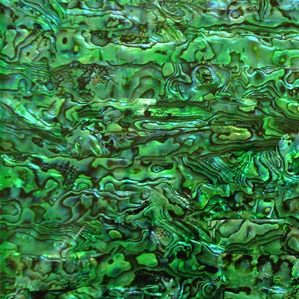 SeaTile SeaTile SeaTile Laminate 9.5 x 5.25 w/ Adhesive Green Abalone Tint Tile & Stone