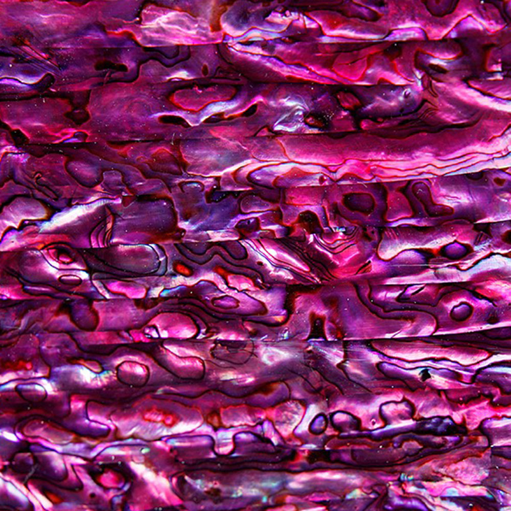 SeaTile SeaTile SeaTile Bisque 8 x 2 Purple Abalone Tint Tile & Stone