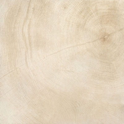 Provenza Provenza W-Age Crosscut Wood 24 x 24 Marrow Tile & Stone