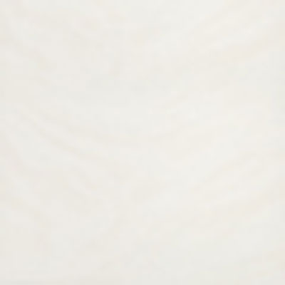 Refin Refin Fluid 24 x 24 Rectified Bianco Tile & Stone