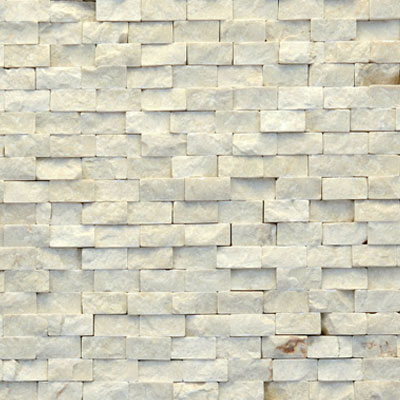 Solistone Solistone Modern 12 x 12 Fauve Tile & Stone