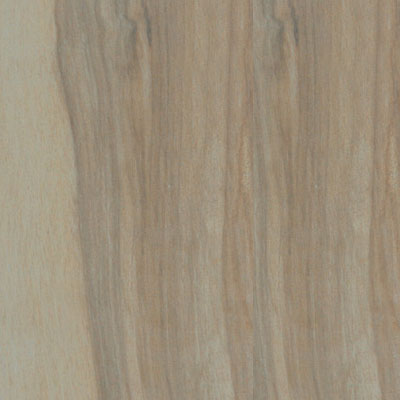 Tesoro Tesoro Alpine 8 x 24 Wide Wood Look Plank Beech - Natural Tile & Stone