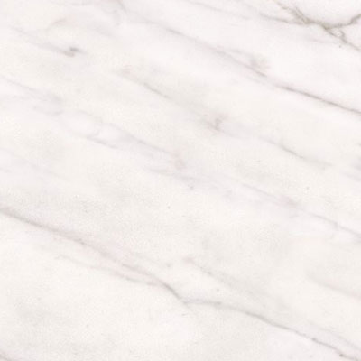 Tesoro Tesoro Classic 12 x 24 Carrara Tile & Stone