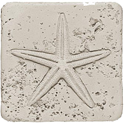 Tesoro Tesoro Composite Molding Insert Fossil Shell Starfish Tile & Stone