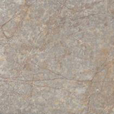Tesoro Tesoro Fossil 6 x 6 Amber Blast Tile & Stone