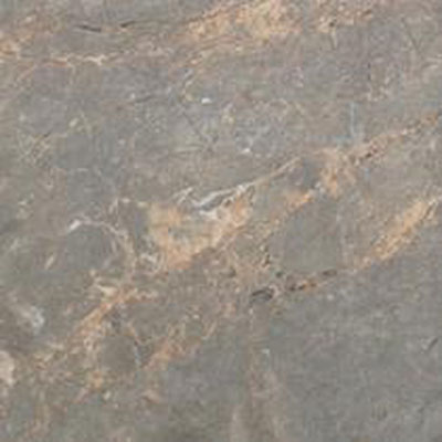 Tesoro Tesoro Fossil 6 x 6 Deep Sea Tile & Stone