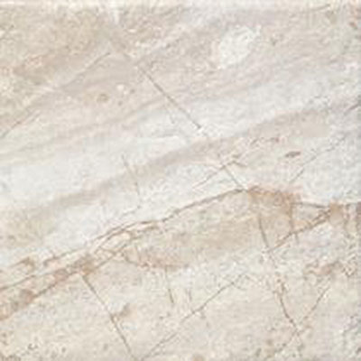 Tesoro Tesoro Fossil 6 x 6 Raving Desert Tile & Stone