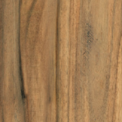 Tesoro Tesoro Stainmaster Timber 8 x 24 Chestnut Tile & Stone
