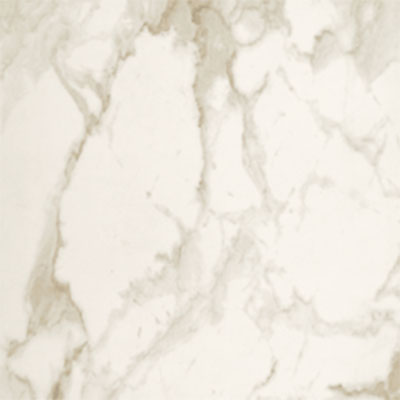 Tilecrest Tilecrest Carrara 12 x 24 Polished Calacata Tile & Stone