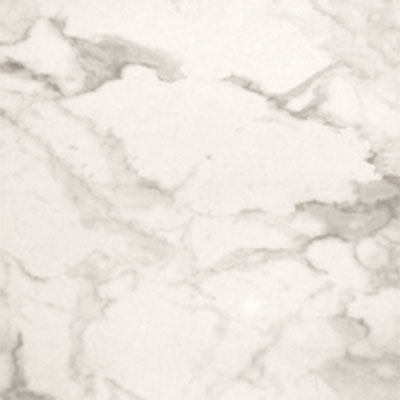 Tilecrest Tilecrest Carrara 12 x 24 Polished Statuary Tile & Stone