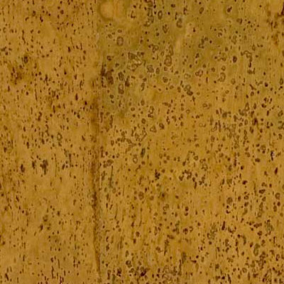 Duro Design Duro Design Baltico Cork Tiles 12 x 12 Pastis (Sample) Cork Flooring