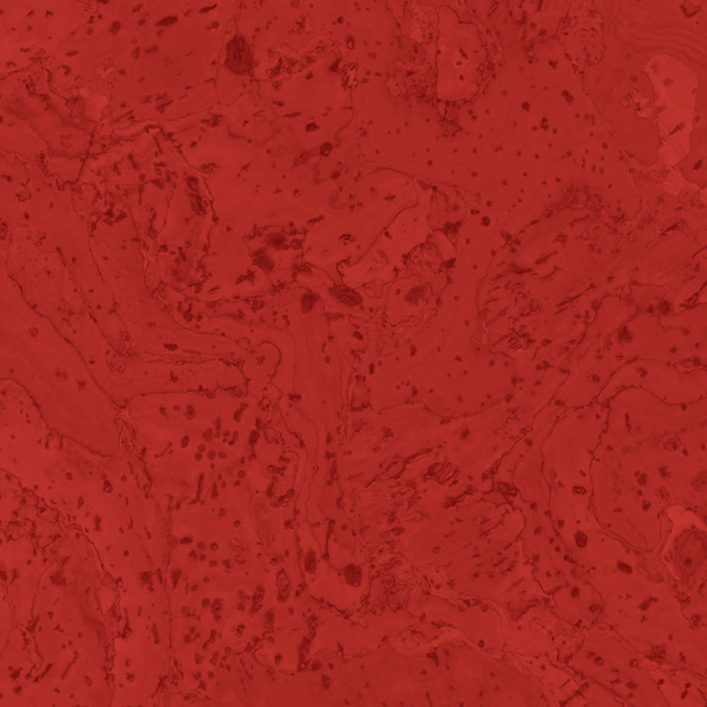 Duro Design Duro Design Barriga Cork Tiles 12 x 12 Scarlet Red (Sample) Cork Flooring