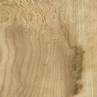 Armstrong Armstrong Illusions Flaxen Maple (Sample) Laminate Flooring