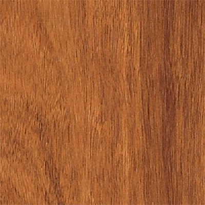 Armstrong Armstrong Natures Gallery Exotic Afzelia (Sample) Laminate Flooring