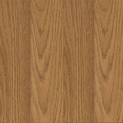 Armstrong Armstrong Commercial - Traditional Collection Butterscotch Oak (Sample) Laminate Flooring