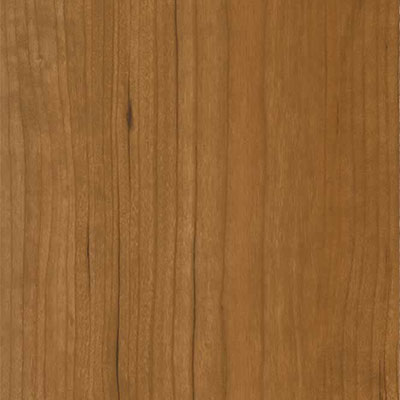 Balterio Balterio Traditions 8mm Planks Honey Cherry Laminate Flooring