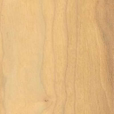 Bruce Bruce Chelsea Park Timbered Walnut (Sample) Laminate Flooring