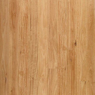 Quick-Step Quick-Step Decorwood Golden Eucalyptus LPE11000 (Sample) Laminate Flooring