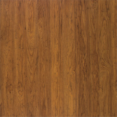 Quick-Step Quick-Step Rustique Collection Amber Hickory (Sample) Laminate Flooring