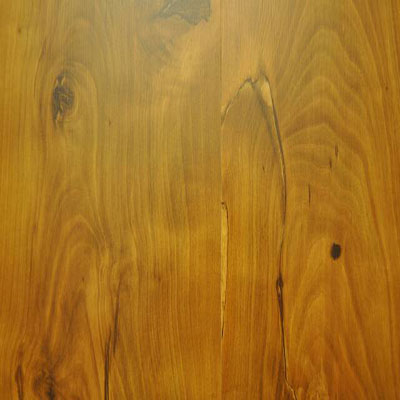 Stepco Stepco Grand Choice Collection Pompas Pine Laminate Flooring