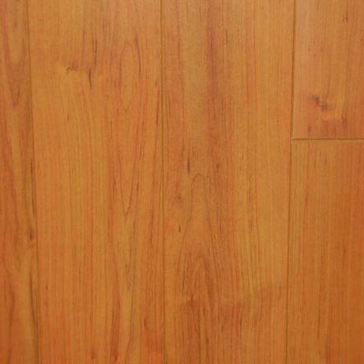 Nuvelle Nuvelle Nuvelle 4 Sided Bevel Pacific Birch (Sample) Laminate Flooring