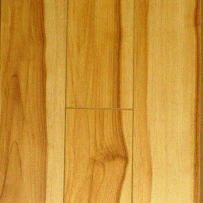 Nuvelle Nuvelle Nuvelle 4 Sided Micro Bevel Rustic Ash (Sample) Laminate Flooring