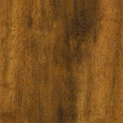 Tarkett Tarkett Cross Country Tigerwood Exotic Laminate Flooring