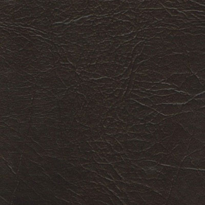 EcoDomo EcoDomo Rainforest Planks Grizzly Sable Leather Flooring