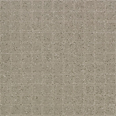 Mannington Mannington ColorSpec Square 18 x 18 Thatch (Sample) Rubber Flooring