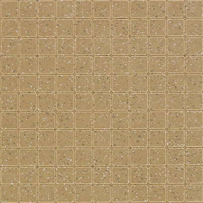 Mannington Mannington ColorSpec Square 18 x 18 Ginger Field (Sample) Rubber Flooring