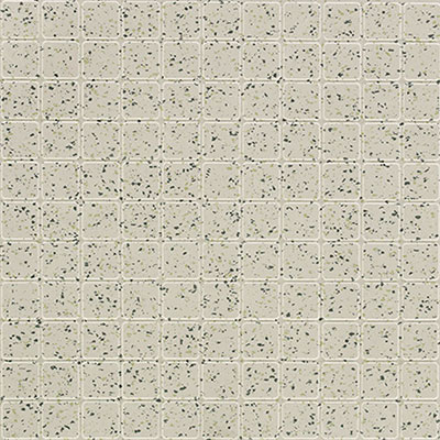 Mannington Mannington ColorSpec Square 18 x 18 Saguaro (Sample) Rubber Flooring