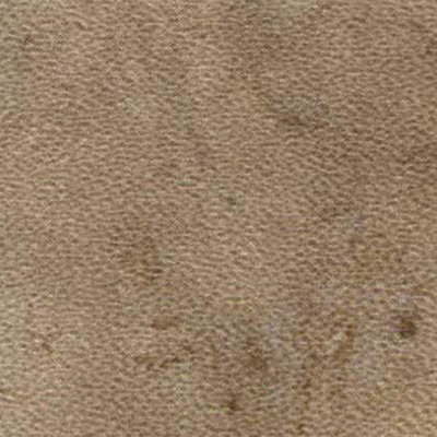 Amtico Amtico Spacia Stone 12 x 18 Fossil Stone Vinyl Flooring