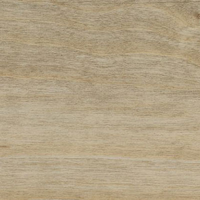 Amtico Amtico Spacia Wood 4 x 36 Bleached Elm Vinyl Flooring