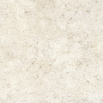 Amtico Amtico Stone 12 x 18 Limestone Biscut Vinyl Flooring