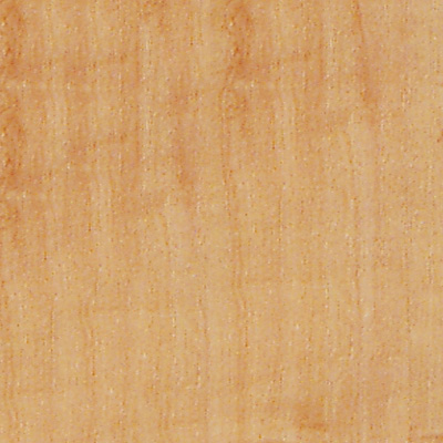 Amtico Amtico Wood 4.5 x 36 Maple Wood Vinyl Flooring