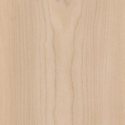 Amtico Amtico Wood 6 x 36 Sugar Maple Vinyl Flooring