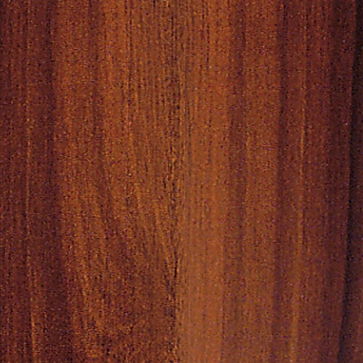 Amtico Amtico Wood 9 x 36 Rosewood Vinyl Flooring