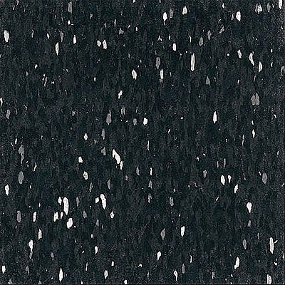 Armstrong Armstrong Commercial Tile - Companion Square Mono Black (Sample) Vinyl Flooring
