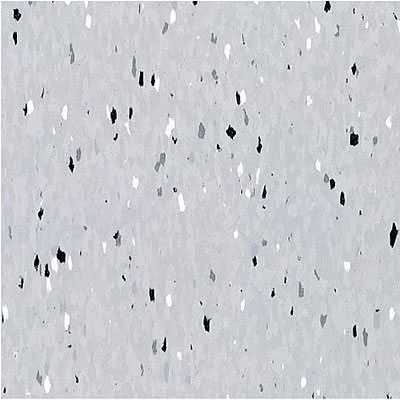 Armstrong Armstrong Commercial Tile - Companion Square Mono Gray (Sample) Vinyl Flooring