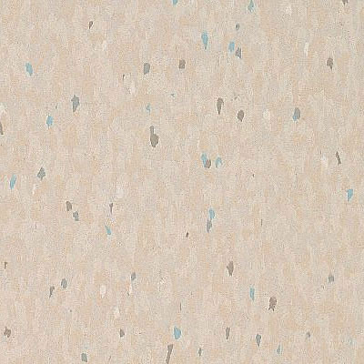 Armstrong Armstrong Commercial Tile - Companion Square Multi Ecru (Sample) Vinyl Flooring